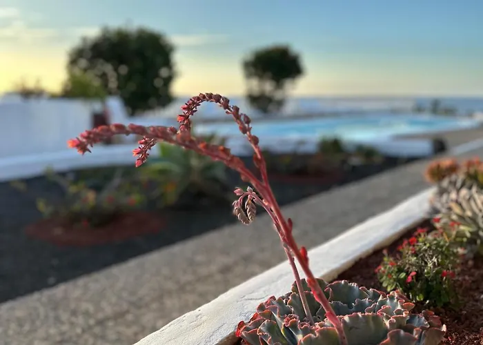 Juwel Des Meeres Nudist Place Fkk Complejo Nudista - - Appartamento Charco del Palo