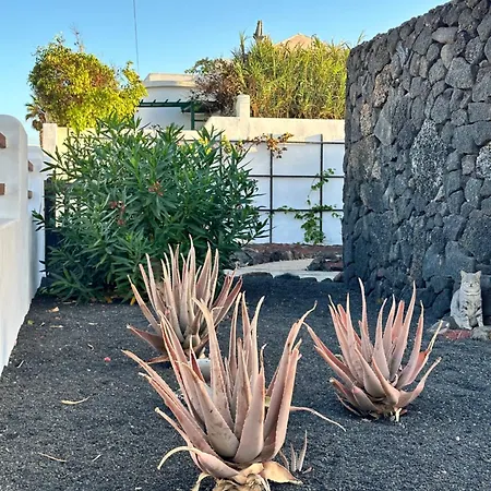 Juwel Des Meeres Nudist Place Fkk Complejo Nudista - - アパート *