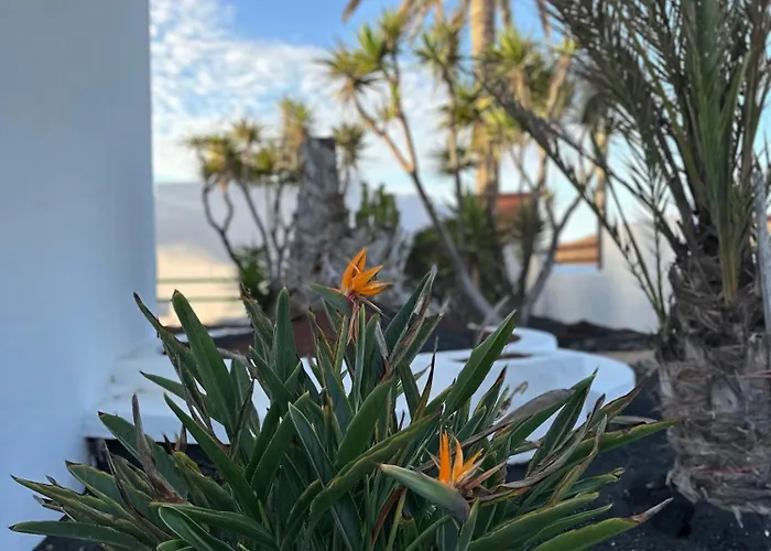 Juwel Des Meeres Nudist Place Fkk Complejo Nudista - - * Charco del Palo