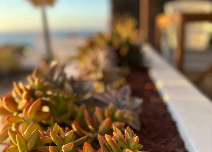 Juwel Des Meeres Nudist Place Fkk Complejo Nudista - - * Charco del Palo