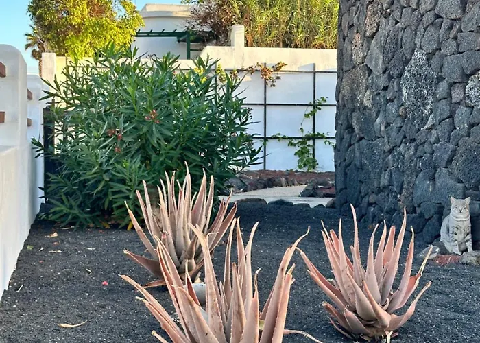 Juwel Des Meeres Nudist Place Fkk Complejo Nudista - - Daire *